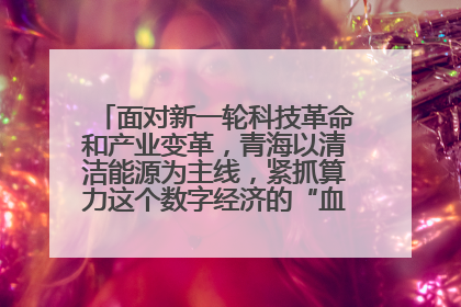 面对新一轮科技革命和产业变革，青海以清洁能源为主线，紧抓算力这个数字经济的“血液”、科技主权的“筹码”、产业升级的“杠杆”、绿色转型的“支点”，勇于撬动国家“双碳”战略、“东数西算”工程重大发展新机遇