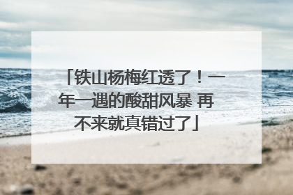 铁山杨梅红透了！一年一遇的酸甜风暴 再不来就真错过了