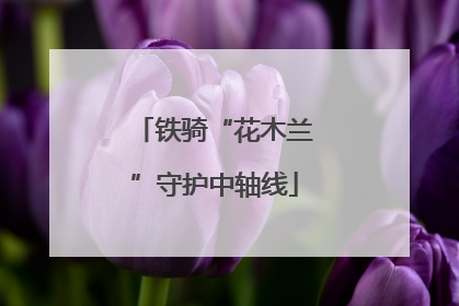 铁骑“花木兰”守护中轴线