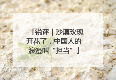 锐评｜沙漠玫瑰开花了，中国人的浪漫叫“担当”