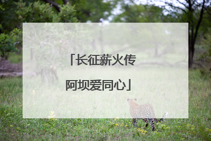 长征薪火传 阿坝爱同心