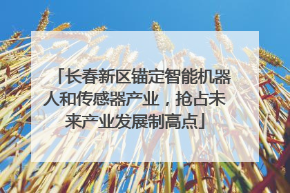 长春新区锚定智能机器人和传感器产业，抢占未来产业发展制高点