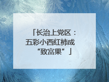 长治上党区：五彩小西红柿成“致富果”