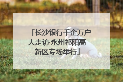 长沙银行千企万户大走访·永州祁阳高新区专场举行