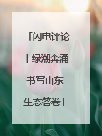 闪电评论丨绿潮奔涌 书写山东生态答卷