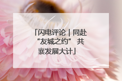 闪电评论｜同赴“友城之约” 共襄发展大计
