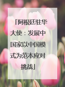 阿根廷驻华大使：发展中国家以中国模式为范本应对挑战