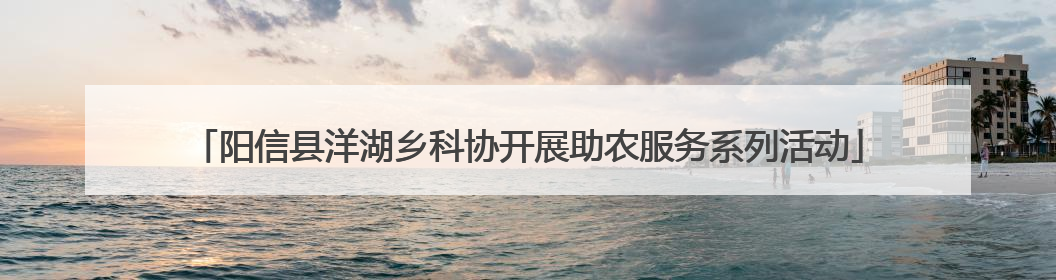 阳信县洋湖乡科协开展助农服务系列活动