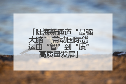 陆海新通道“最强大脑” 带动国际货运由“智”到“质”高质量发展
