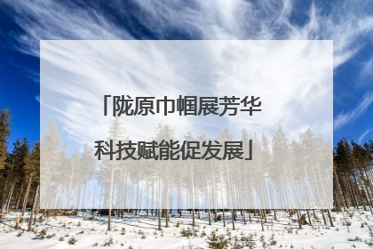 陇原巾帼展芳华 科技赋能促发展