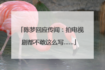 陈梦回应传闻：拍电视剧都不敢这么写……