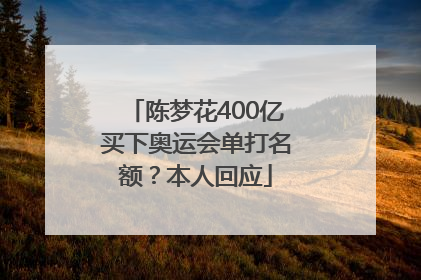 陈梦花400亿买下奥运会单打名额？本人回应