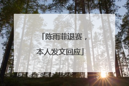 陈雨菲退赛，本人发文回应