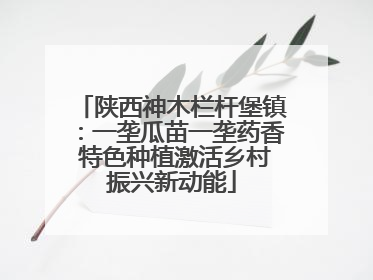 陕西神木栏杆堡镇：一垄瓜苗一垄药香 特色种植激活乡村振兴新动能