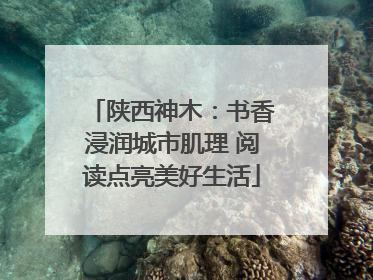 陕西神木：书香浸润城市肌理 阅读点亮美好生活