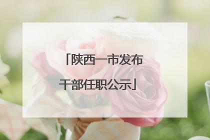 陕西一市发布干部任职公示