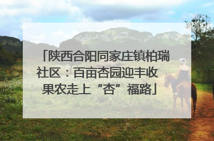 陕西合阳同家庄镇柏瑞社区：百亩杏园迎丰收 果农走上“杏”福路