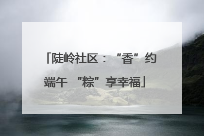 陡岭社区：“香”约端午 “粽”享幸福