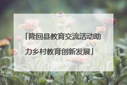隆回县教育交流活动助力乡村教育创新发展