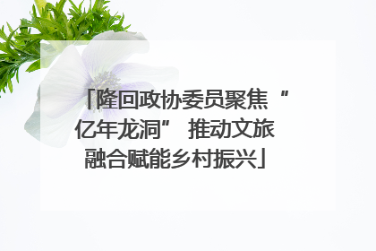 隆回政协委员聚焦“亿年龙洞” 推动文旅融合赋能乡村振兴
