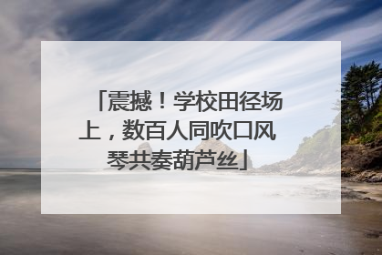 震撼！学校田径场上，数百人同吹口风琴共奏葫芦丝