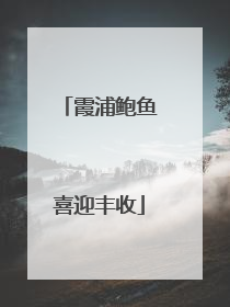 霞浦鲍鱼喜迎丰收