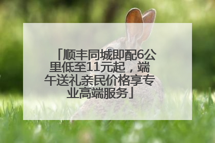 顺丰同城即配6公里低至11元起，端午送礼亲民价格享专业高端服务
