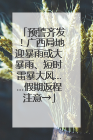 预警齐发！广西局地迎暴雨或大暴雨、短时雷暴大风……假期返程注意→