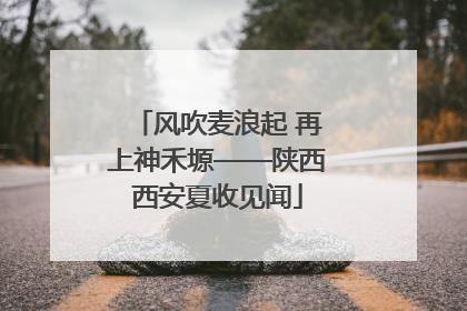 风吹麦浪起 再上神禾塬——陕西西安夏收见闻
