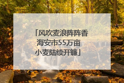 风吹麦浪阵阵香 海安市55万亩小麦陆续开镰