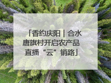 香约庆阳｜合水唐旗村开启农产品直播“云”销路