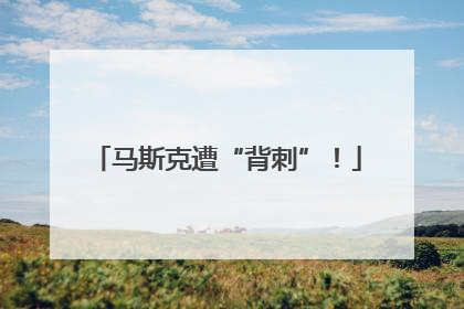 马斯克遭“背刺”！