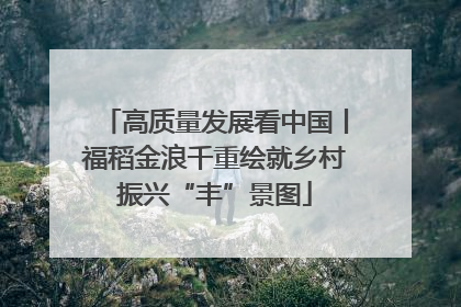 高质量发展看中国丨福稻金浪千重绘就乡村振兴“丰”景图