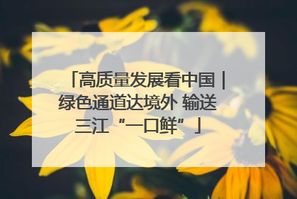 高质量发展看中国｜绿色通道达境外 输送三江“一口鲜”