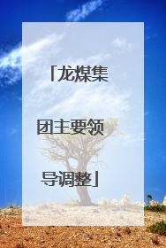 龙煤集团主要领导调整