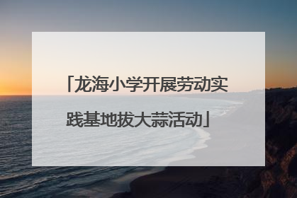 龙海小学开展劳动实践基地拔大蒜活动
