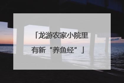 龙游农家小院里有新“养鱼经”