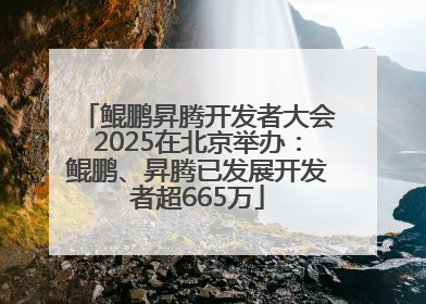 鲲鹏昇腾开发者大会2025在北京举办：鲲鹏、昇腾已发展开发者超665万