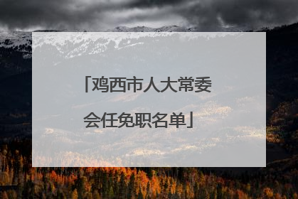 鸡西市人大常委会任免职名单