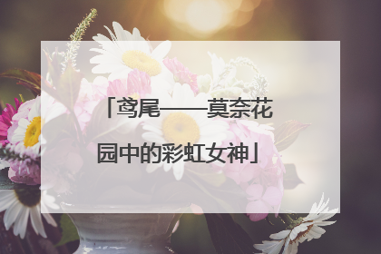 鸢尾——莫奈花园中的彩虹女神