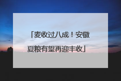 麦收过八成！安徽夏粮有望再迎丰收