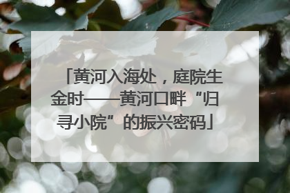 黄河入海处，庭院生金时——黄河口畔“归寻小院”的振兴密码