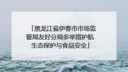 黑龙江省伊春市市场监管局友好分局多举措护航生态保护与食品安全