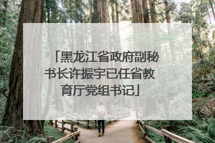 黑龙江省政府副秘书长许振宇已任省教育厅党组书记