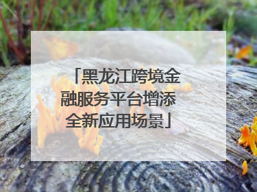 黑龙江跨境金融服务平台增添全新应用场景