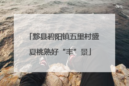 黟县碧阳镇五里村盛夏桃熟好“丰”景