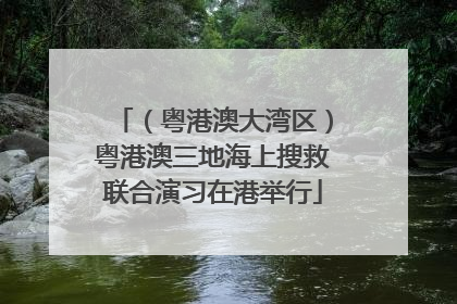 （粤港澳大湾区）粤港澳三地海上搜救联合演习在港举行