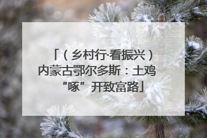 （乡村行·看振兴）内蒙古鄂尔多斯：土鸡“啄”开致富路