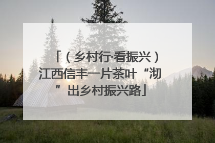 （乡村行·看振兴）江西信丰一片茶叶“沏”出乡村振兴路