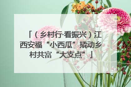 （乡村行·看振兴）江西安福“小西瓜”撬动乡村共富“大支点”